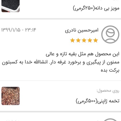 تخمه ژاپنی جابانی کیفیت خوب (نیم کیلو) تازه 