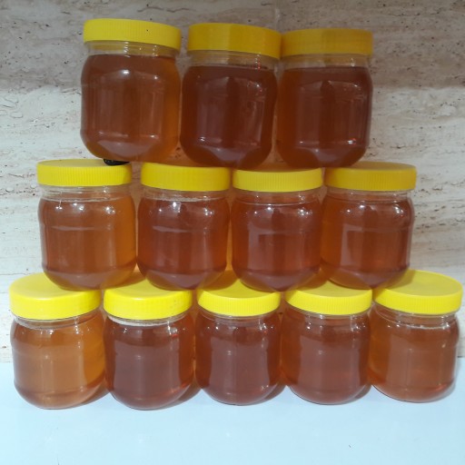 عسل چندگیاه ساکارز پایین طبیعی کوهی کنار گون گشنیز(نیم کیلویی)
