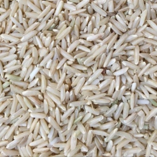 برنج قهوه ای هاشمی گیلان 5 کیلوگرم