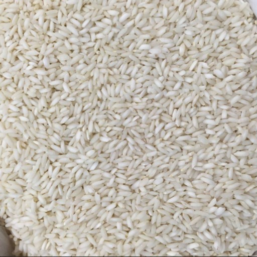 برنج عنبربو خوزستان  10 کیلوگرم
