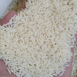 برنج هاشمی تالش 1 کیلویی