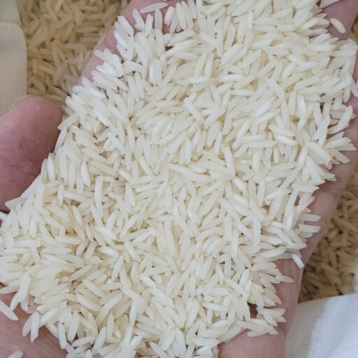 برنج شیرودی  1 کیلویی نیکان
