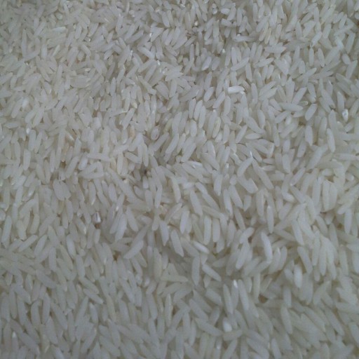 برنج هاشمی بدون سم (کشت گیلان - رشت)