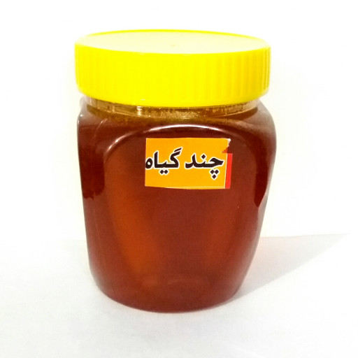 عسل چند گیاه 500 گرمی (ساکارز3)