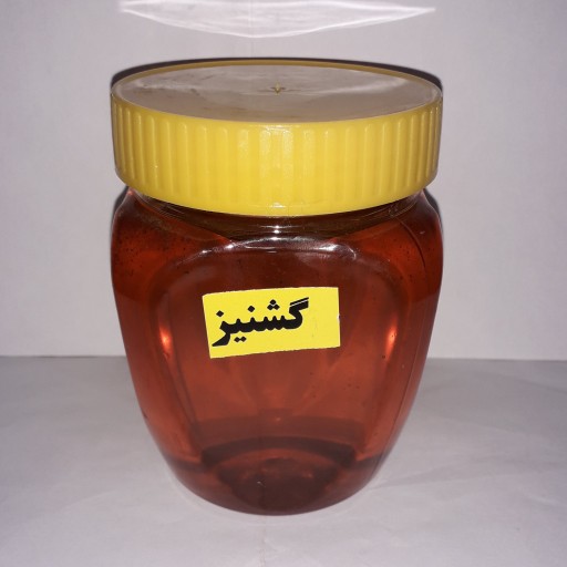 عسل گشنیز  500 گرمی (ساکارز 3)