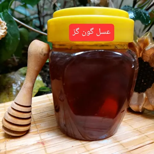 عسل گون گز صادق 315 (950)گرمی