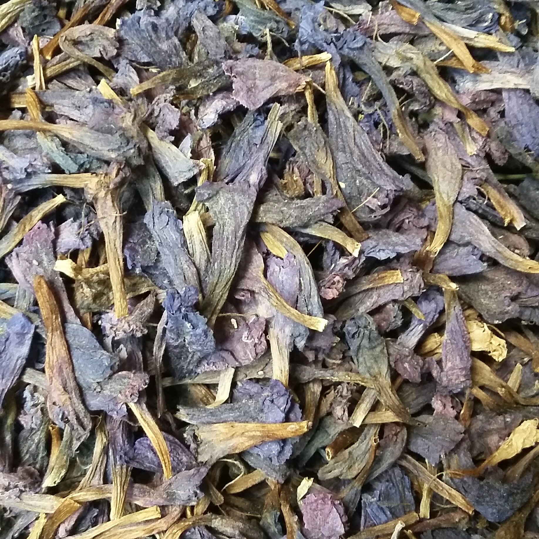 گل گاو زبان