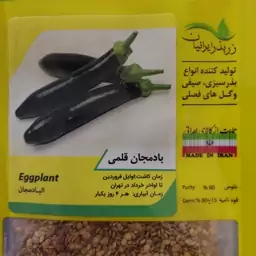 بذر بادمجان قلمی