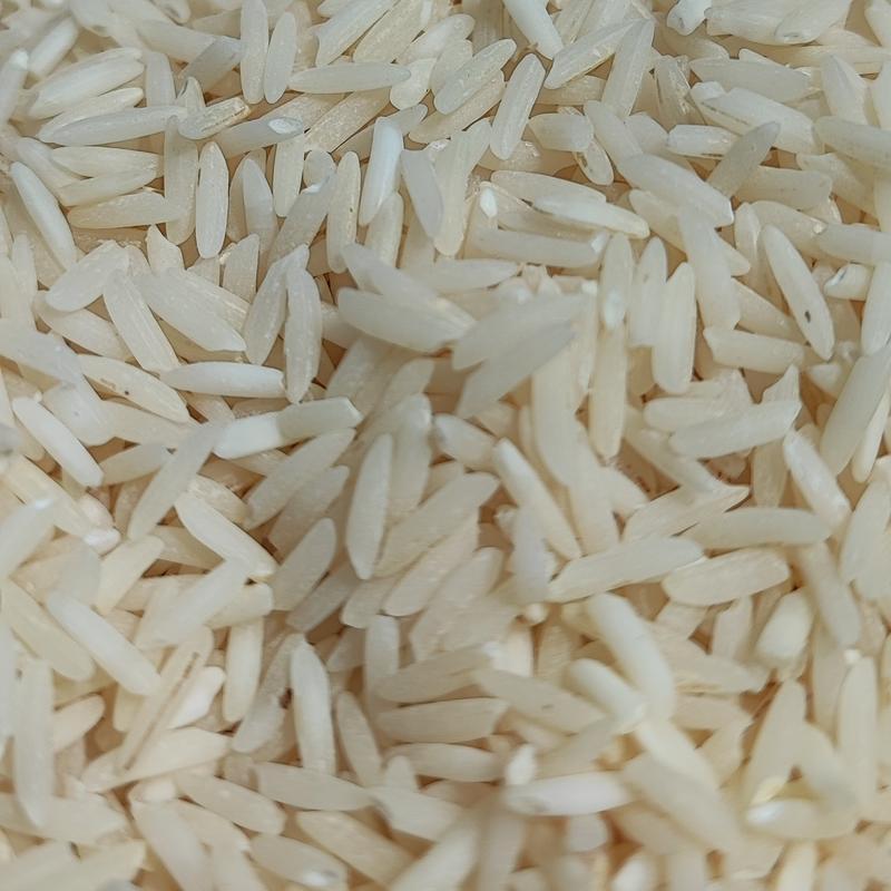 برنج  هاشمی آستانه اشرفیه  امساله 1401 مستقیم از کشاورز (برای تست پخت) 