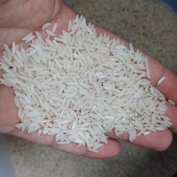 برنج هاشمی دانه بلند اصل گیلان  خوش عطر ( 10 کیلویی)