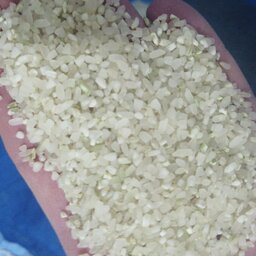 برنج نیم دانه کامفیروزی 