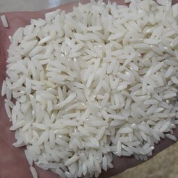 برنج طارم هاشمی درجه یک فریدون کنار صددرصد خالص و پخت و عطر تضمینی سورت شده با دستگاه سورتینگ لیزری در بسته بندی مختلف 
