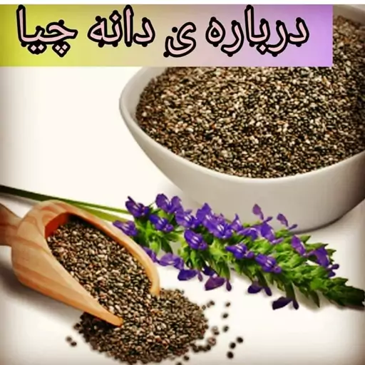 دانه چیا