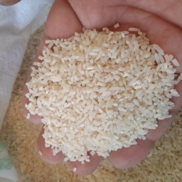 برنج لاشه طارم معطر آستانه اشرفیه (10کیلو)