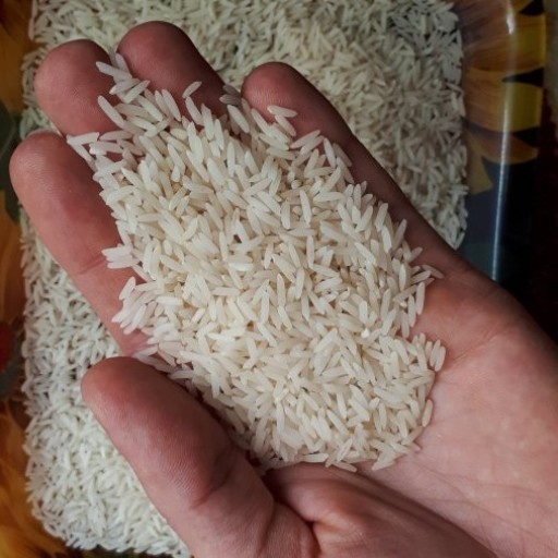 برنج هاشمی دمسیاه اعلاء 5 کیلویی