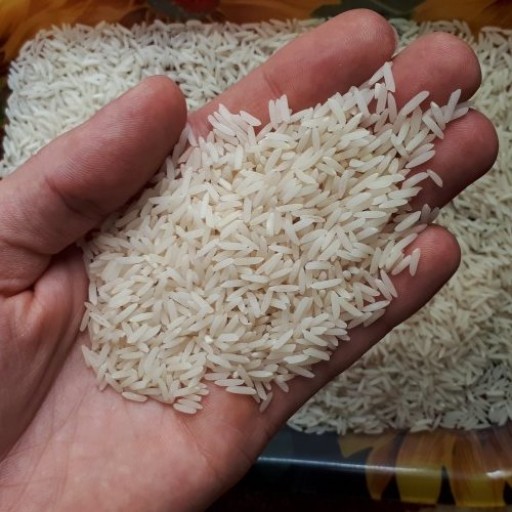 برنج هاشمی دمسیاه اعلاء 10 کیلویی