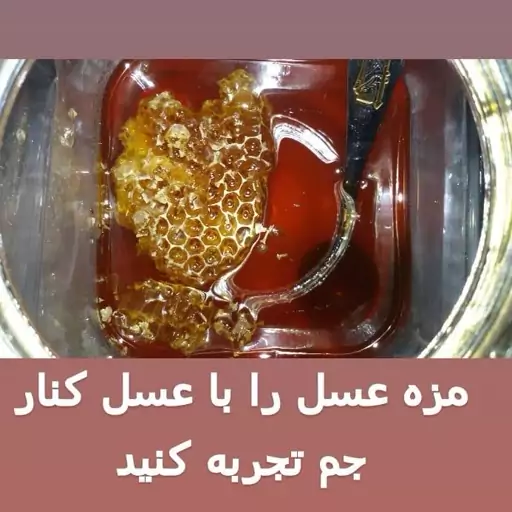 عسل کوهی کوهستان  پردیس جم(یک کیلویی)