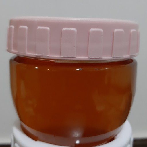 عسل دیابتی (250گرمی)