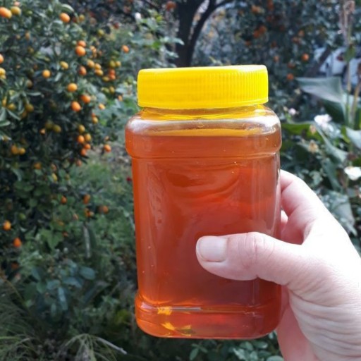 عسل گون  آبشار سمیرم(1کیلو گرمی)
