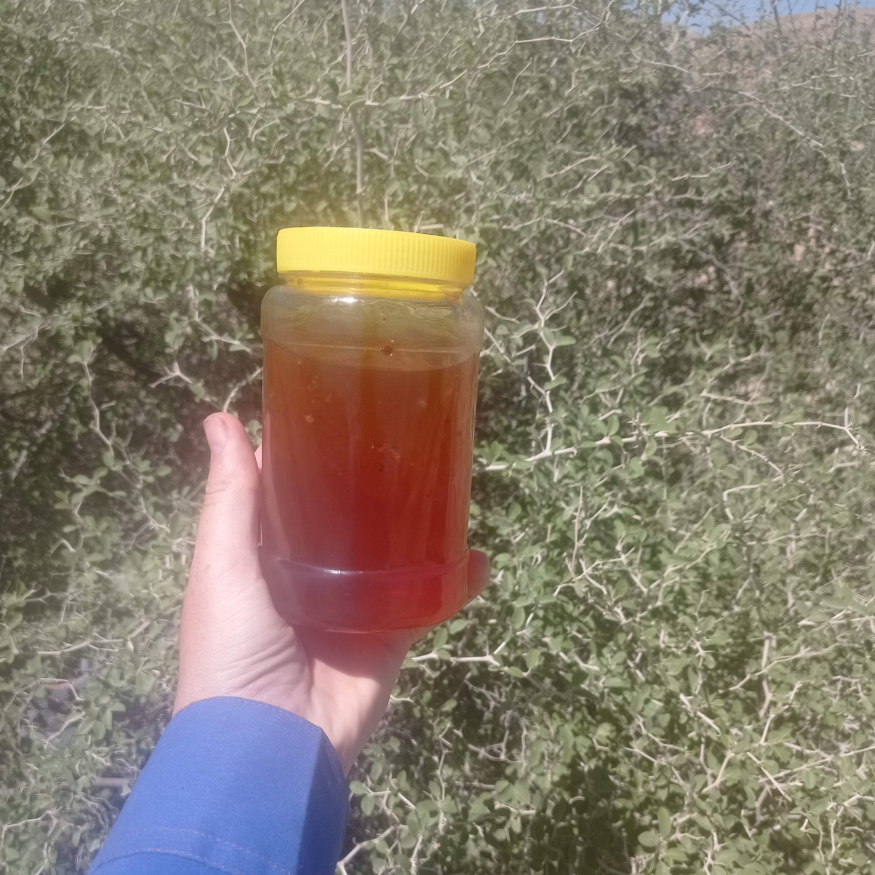 عسل پاییزه کنار درتضمینی