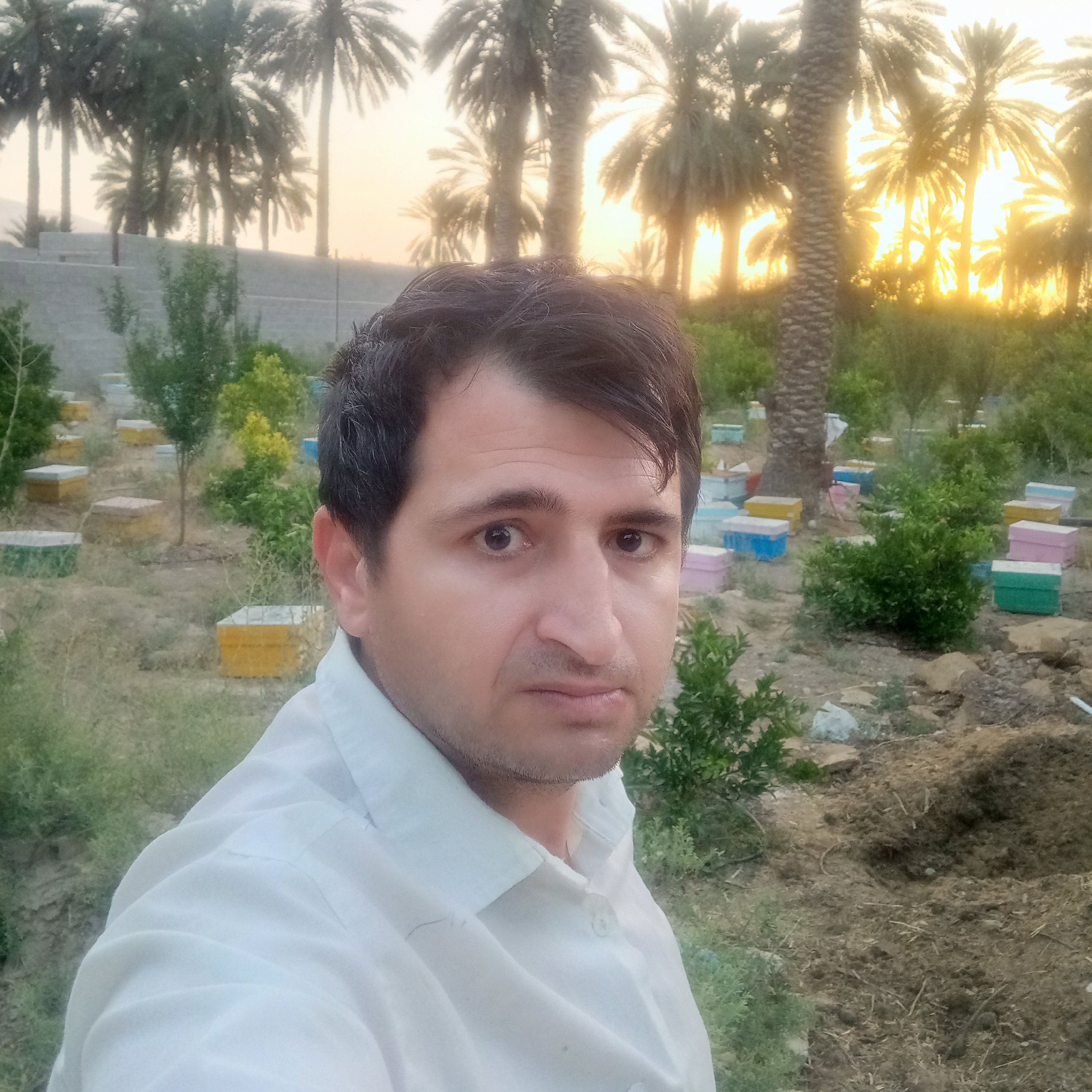 عسل عمده بهاره مرکبات .قیمت تناژ .بیست چهار کیلو 