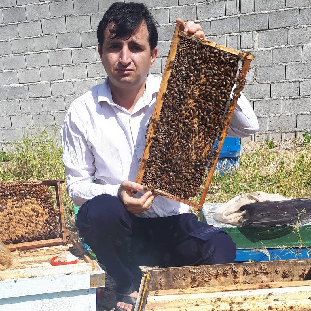 عسل عمده بهاره مرکبات .قیمت تناژ .بیست چهار کیلو 
