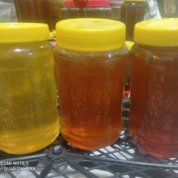 یک کیلو عسل بهار نارنج،یک کیلو عسل کنار،یک کیلو عسل چهل گیاه 
