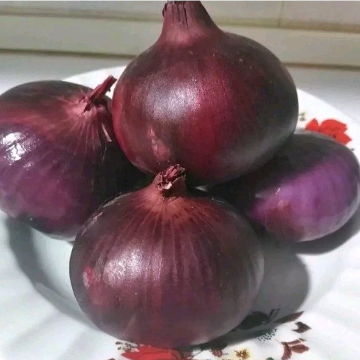 بذر پیاز قرمز اعلاء،قسطی 4 ماهه (20 گرمی)