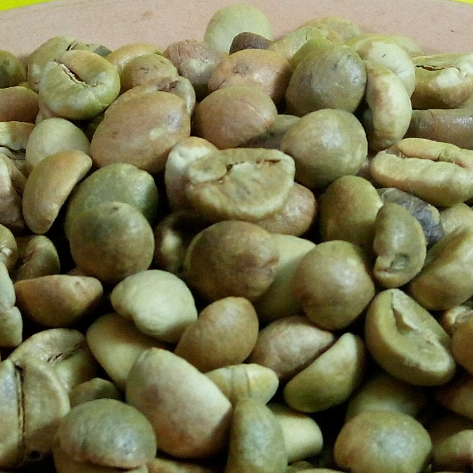 قهوه سبز اعلا برزیلی
