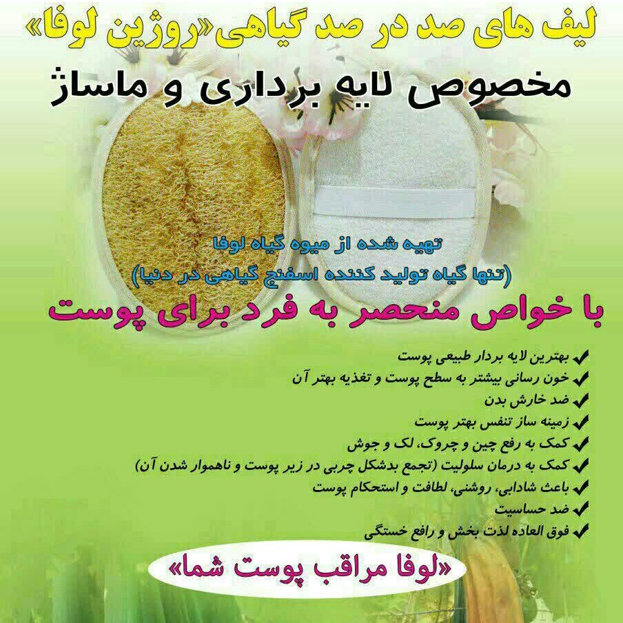 لیف لوفا بدن بیضی سایز متوسط