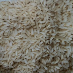 برنج عنبربو با تضمین کیفیت ( 2 تن )