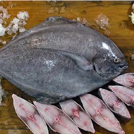ماهی حلوا سیاه تازه (صید روز)