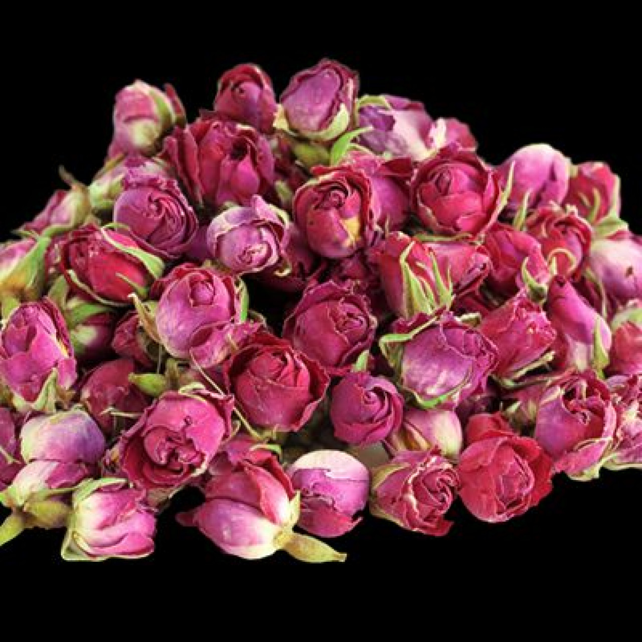 غنچه گل محمدی