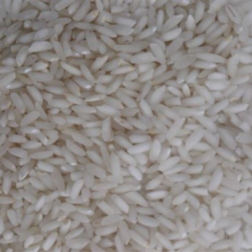 برنج عنبربو با کیفیت خوزستان 100 درصد تضمینی