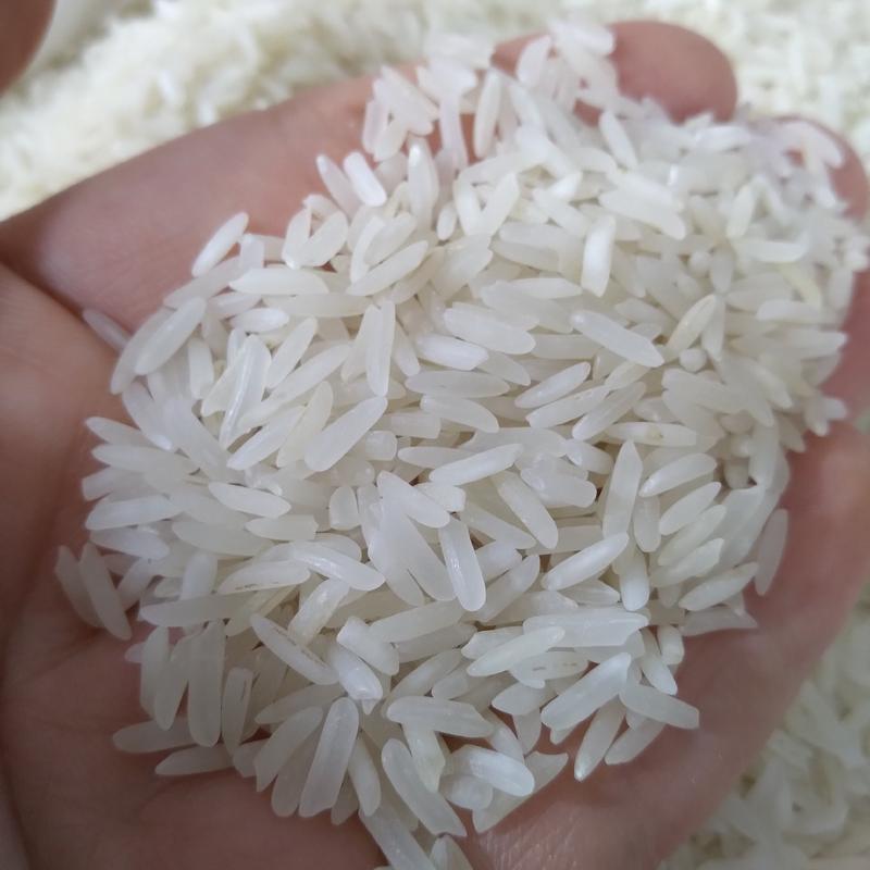 برنج طارم فجر ایرانی (10کیلویی) با ارسال رایگان