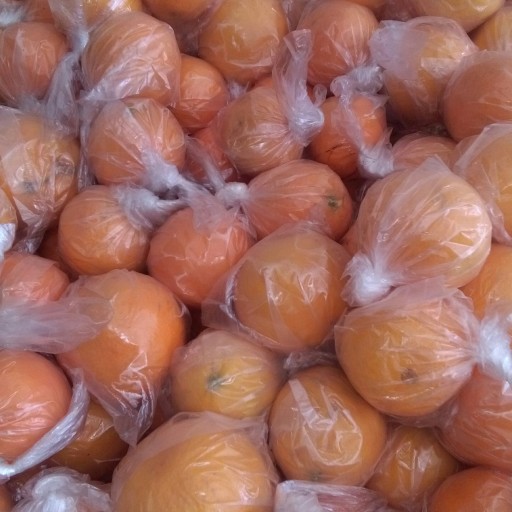 پرتقال جنوب (یک کیلو)