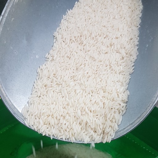 برنج طارم محلی ارگانیک فریدونکنار  (اصیل) امساله 5 کیلویی ارسال رایگان