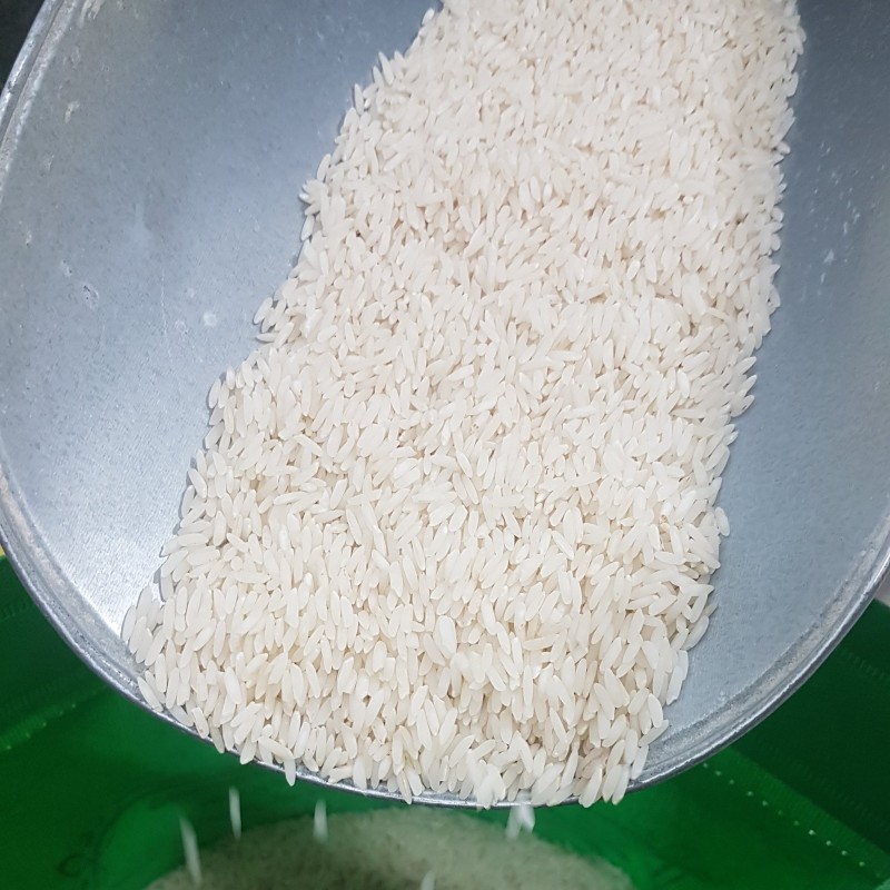برنج طارم محلی ارگانیک فریدونکنار (اصیل) امساله 10 کیلویی ارسال رایگان