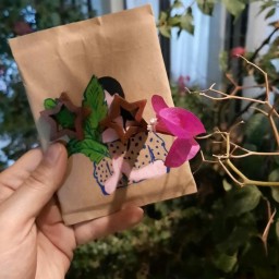 توضیحات تصویر