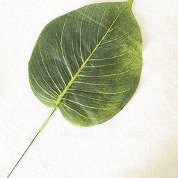 برگ مصنوعی معمولی رنگ سبز تیره بسته 3 عددی قد 23 عرض 19 سانتی متر