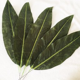 برگ مصنوعی معمولی رنگ سبز تیره بسته 3 عددی قد 37 عرض 11 سانتی متر