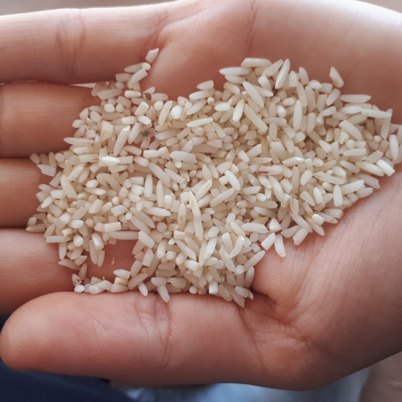 برنج نیمه کلات نادر