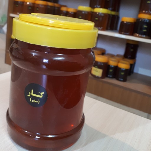 عسل کنار یا سدر خوش عطر و طعم beeدار