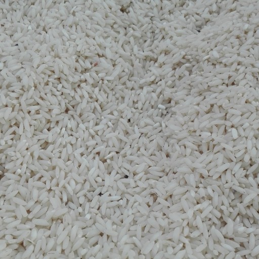 برنج چمپا وعنبربو  یک کیلویی