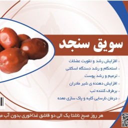 سویق سنجد ایرانی