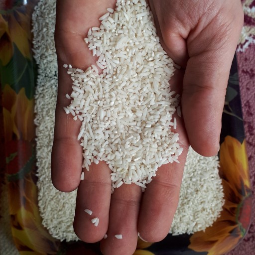 برنج هاشمی لاشه( نمونه ی 1 کیلویی)
