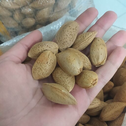 بادام درختی سنگی پک دو2 کیلویی درجه یک درشت و شیرین 