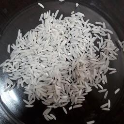 برنج فجر اعلا شالیزارهای دابودشت فریدونکنار