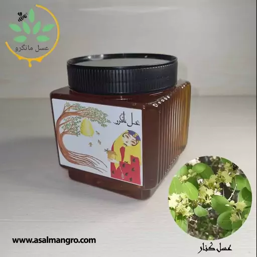 عسل کنار طبیعی 1000 گرمی ( سدر ) با ضمانت نامه کتبی و برگه آزمایش همراه با عسل