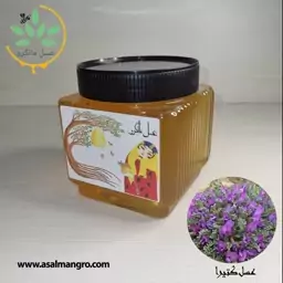 عسل کتیرا طبیعی 1000 گرمی با ضمانت نامه کتبی و برگه آزمایش همراه با عسل